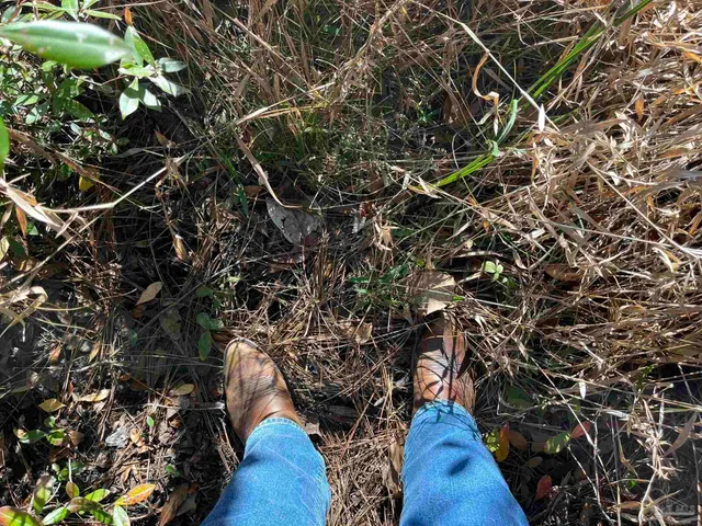 $25,000 | 1048 Fleming Drive, Pensacola, FL 32514