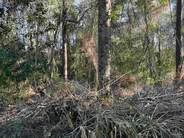 $25,000 | 1048 Fleming Drive, Pensacola, FL 32514