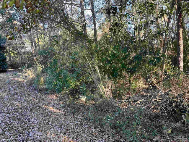 $25,000 | 1048 Fleming Drive, Pensacola, FL 32514