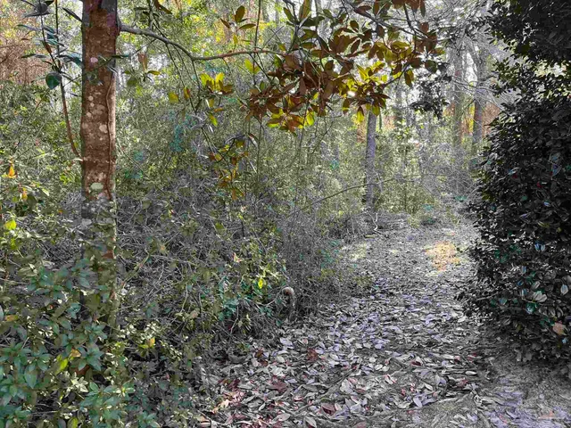 $25,000 | 1048 Fleming Drive, Pensacola, FL 32514