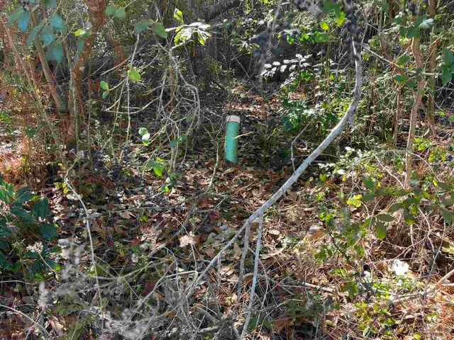 $25,000 | 1048 Fleming Drive, Pensacola, FL 32514