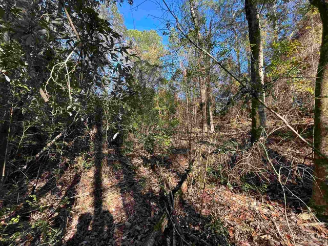 $25,000 | 1048 Fleming Drive, Pensacola, FL 32514