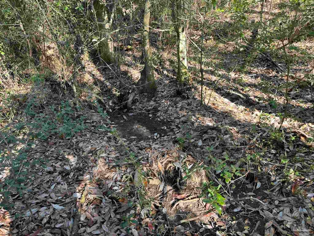 $25,000 | 1048 Fleming Drive, Pensacola, FL 32514