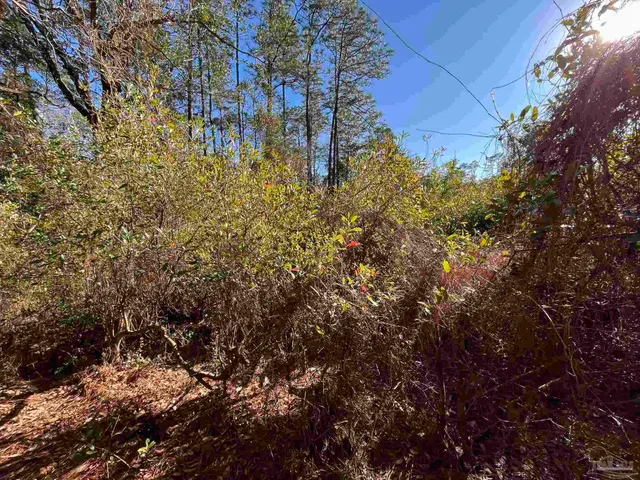 $25,000 | 1048 Fleming Drive, Pensacola, FL 32514