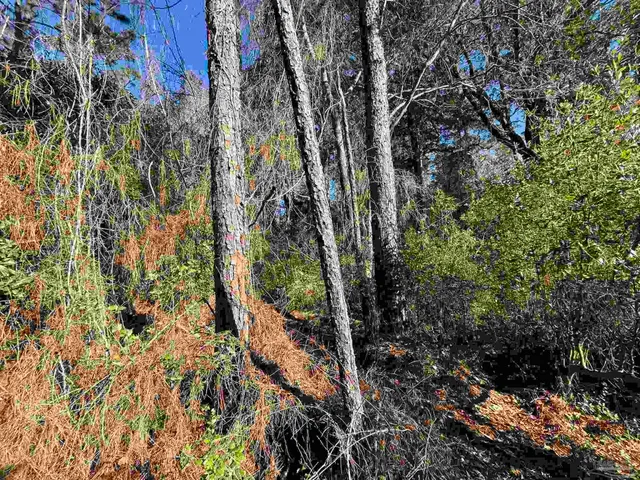 $25,000 | 1048 Fleming Drive, Pensacola, FL 32514