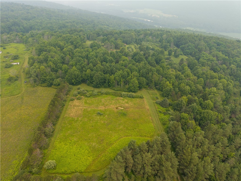 2571 Delude Road Dalton, NY 14836 - Photo 33 of 48