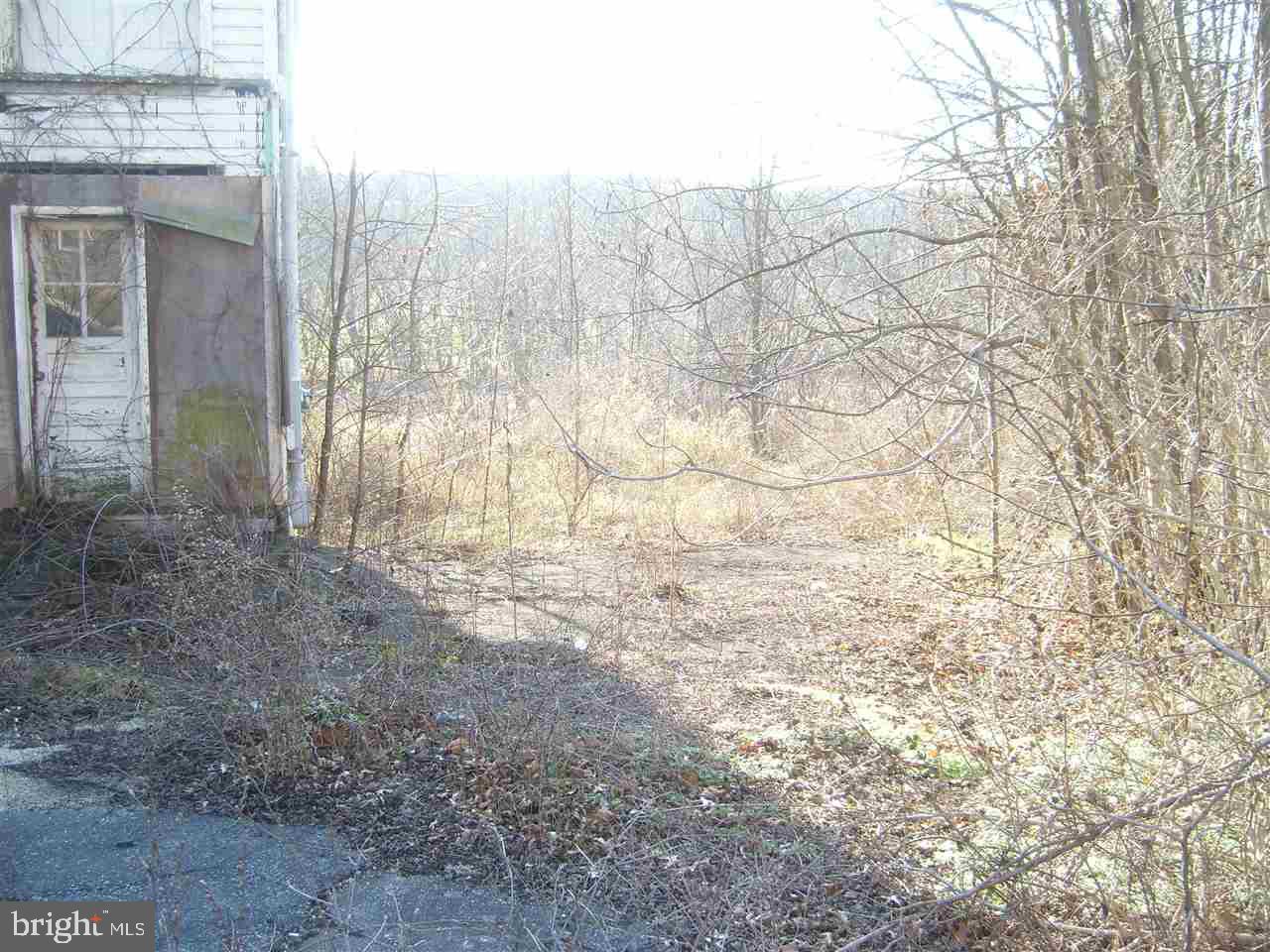 5400 Spring Road Shermans Dale, PA 17090 - Photo 4 of 25 Gallery Image 4