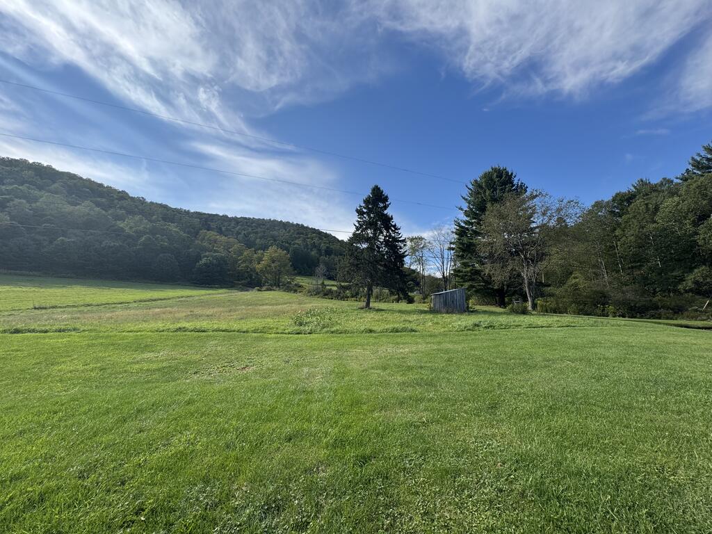 265 West Branch Fishing Creek Road Roulette, PA 16746 - Photo 29 of 29 Gallery Image 29