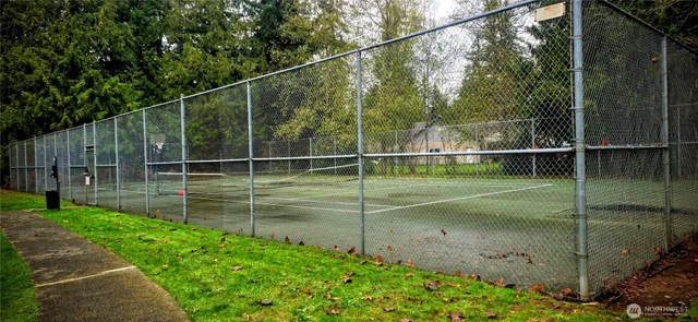 a view of a backyard
