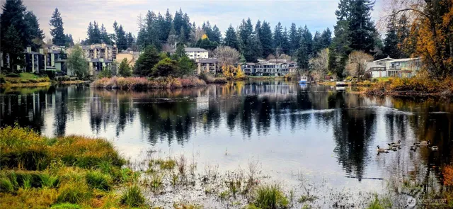 a view of a lake and outdoor space
