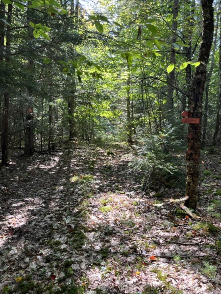 M18-l2etal Pokey Road Alexander, ME 04694 - Photo 11 of 13 PM1