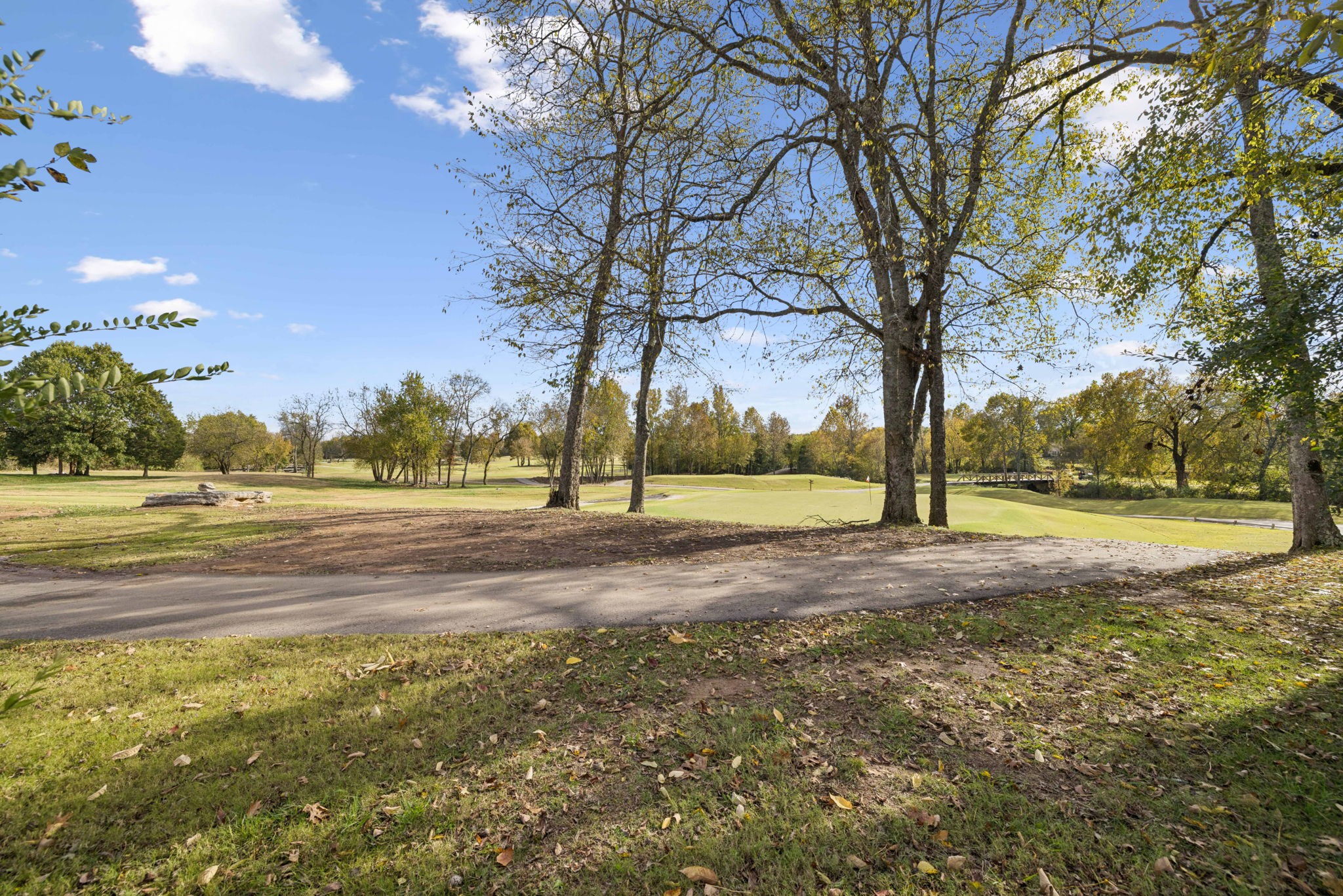 647 Birdie Drive Spring Hill, TN 37174 - Photo 13 of 15 a view of yard with trees