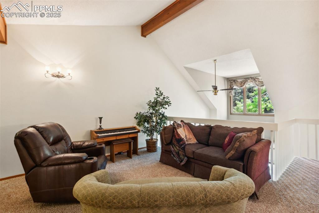 4835 Castledown Road Colorado Springs, CO 80917 - Photo 10 of 29 a living room with furniture and a potted plant