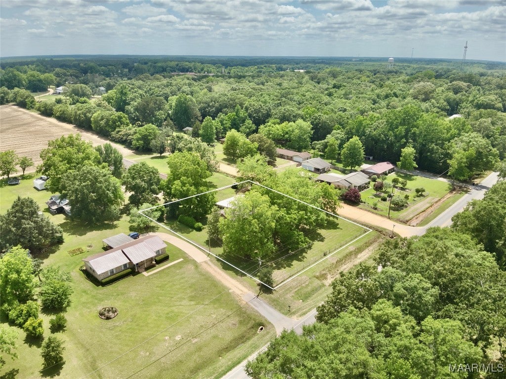 135 Springdale Road Hartford, AL 36344 - Photo 2 of 39 Gallery Image 2