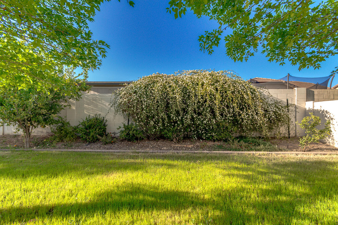 3442 East Hopkins Road Gilbert, AZ 85295 - Photo 36 of 40 36-Hopkins