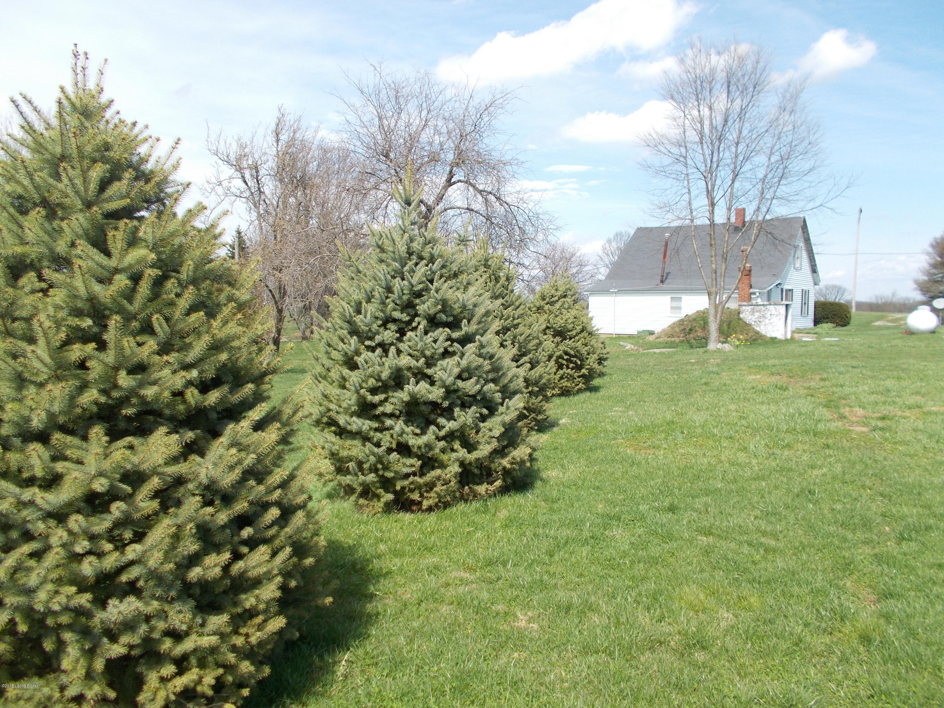 2711 Sulphur Road Sulphur, KY 40070 - Photo 28 of 35 DSCN0086
