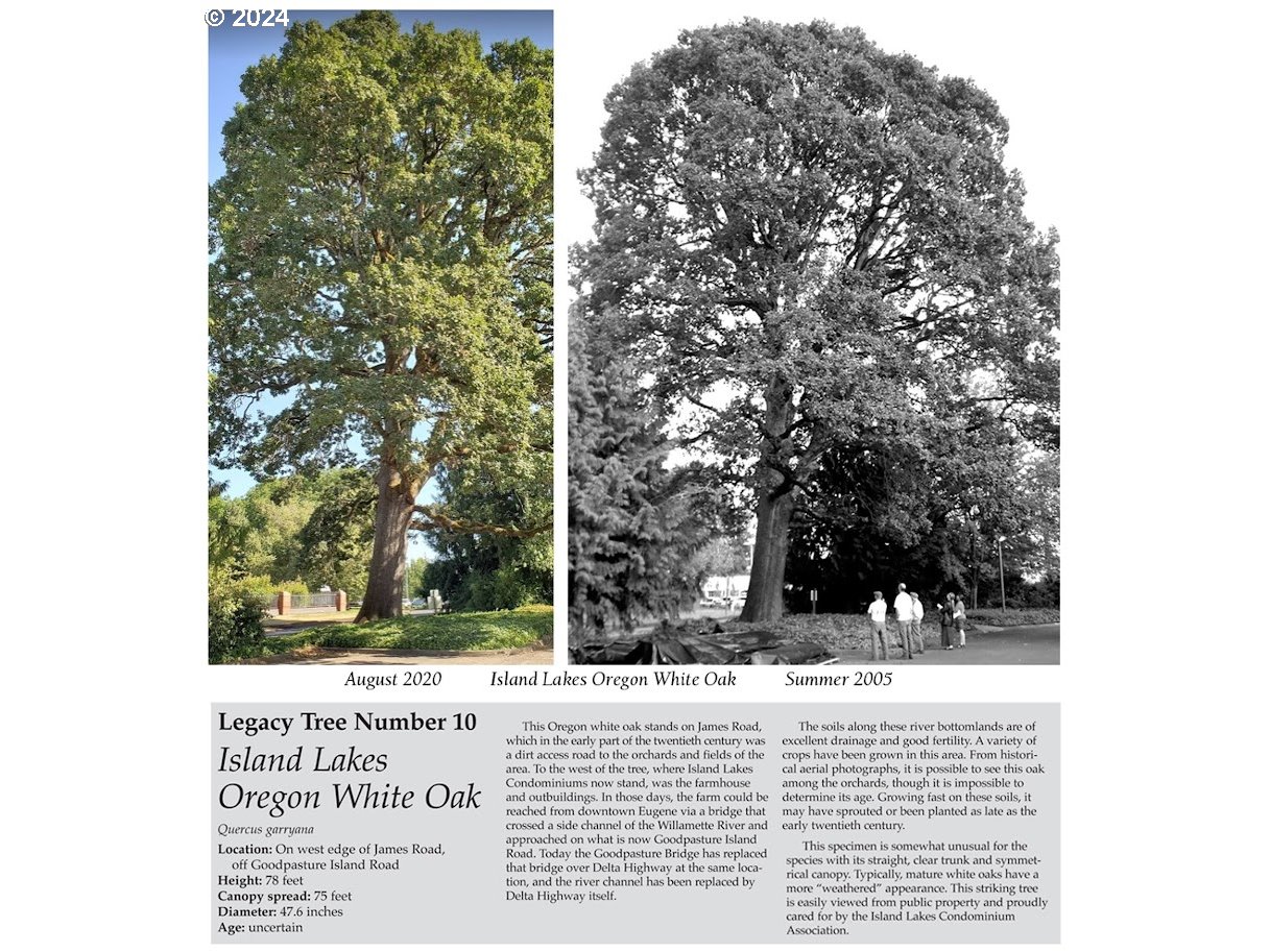 2051 Lake Isle Terrace Eugene, OR 97401 - Photo 36 of 36 unknown