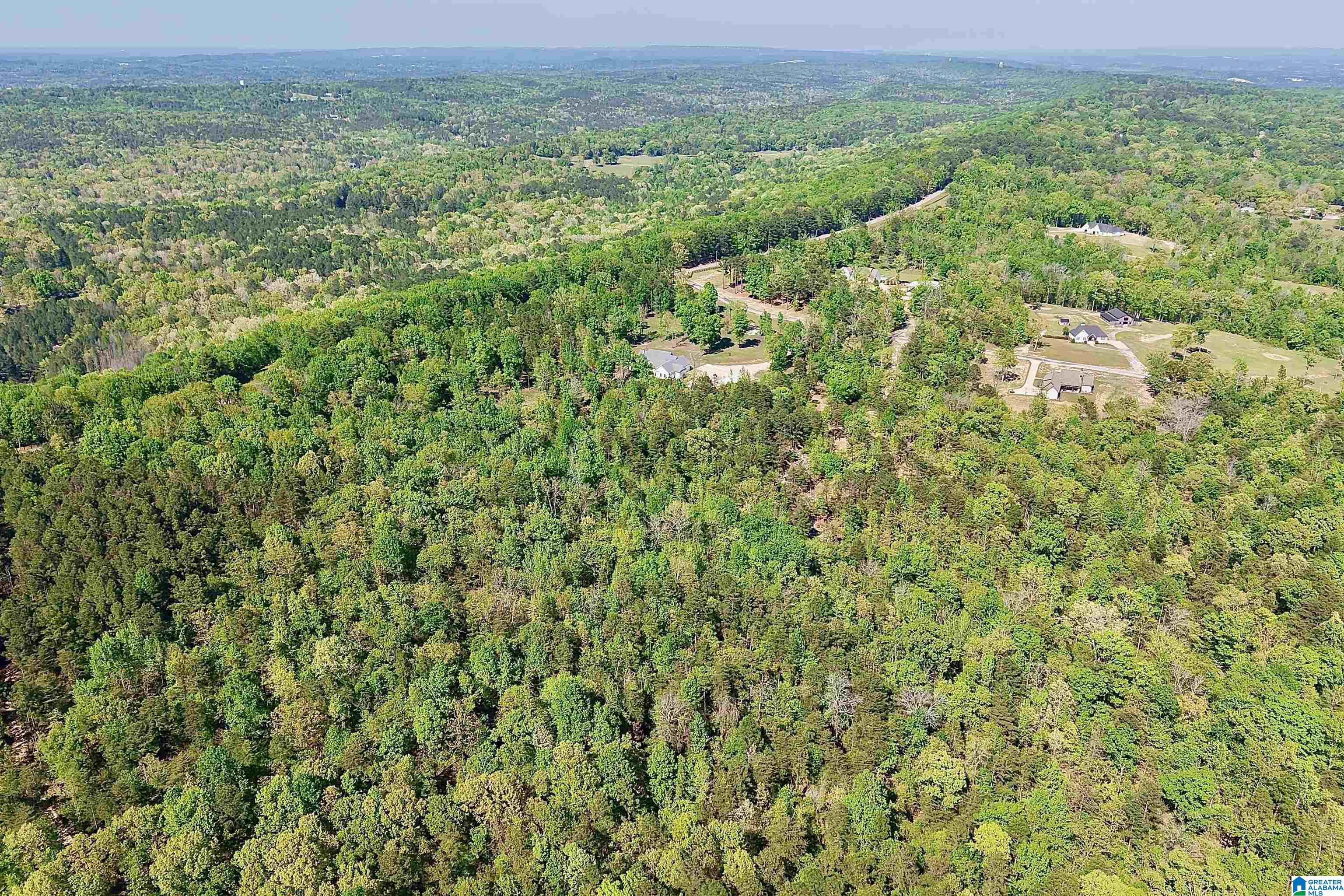 246 Spring Water Farms, Unit 2 Helena, AL 35022 - Photo 19 of 25