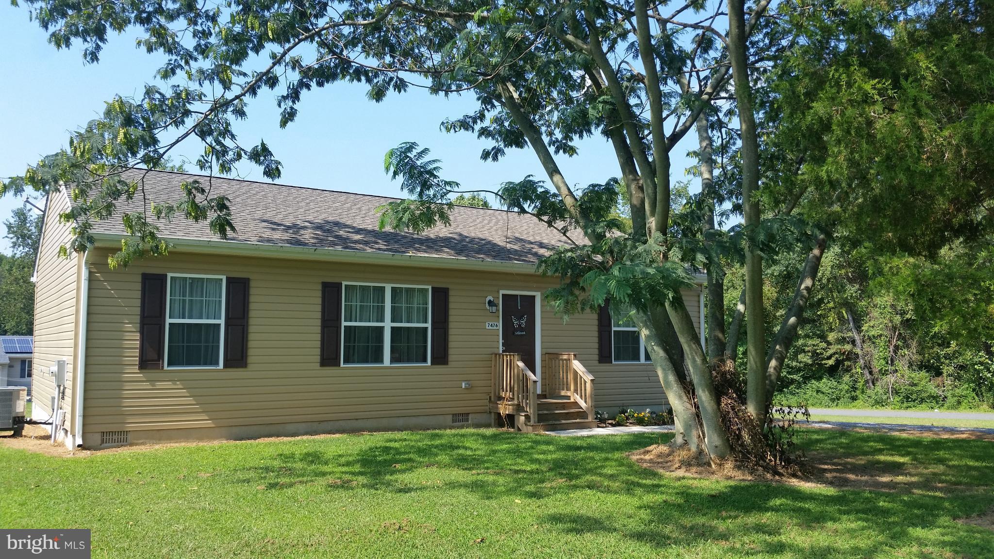 7476 Cedar Road Chestertown, MD 21620 - Photo 2 of 24 SHADE TREE IN YARD