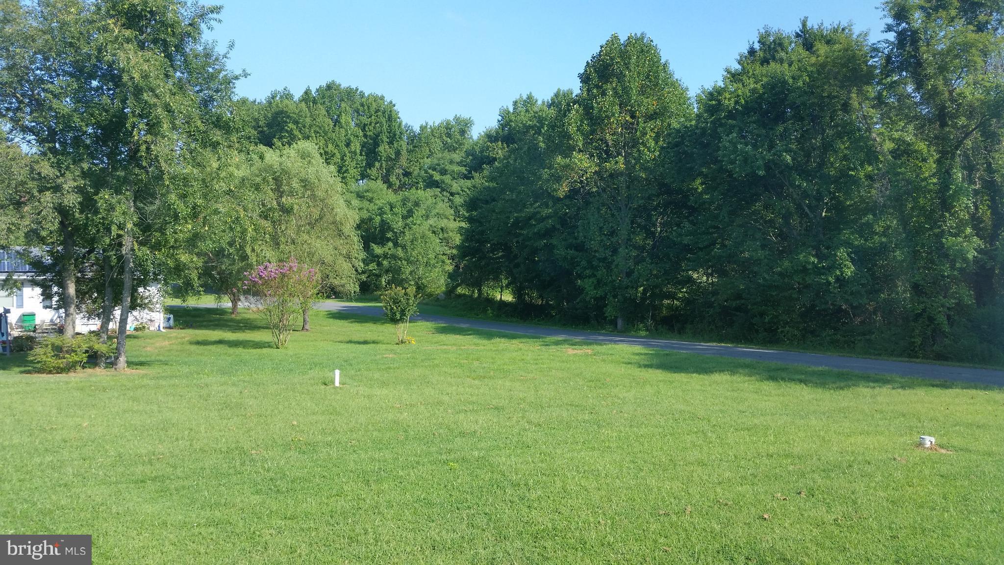 7476 Cedar Road Chestertown, MD 21620 - Photo 3 of 24 VIEW FROM SLIDER