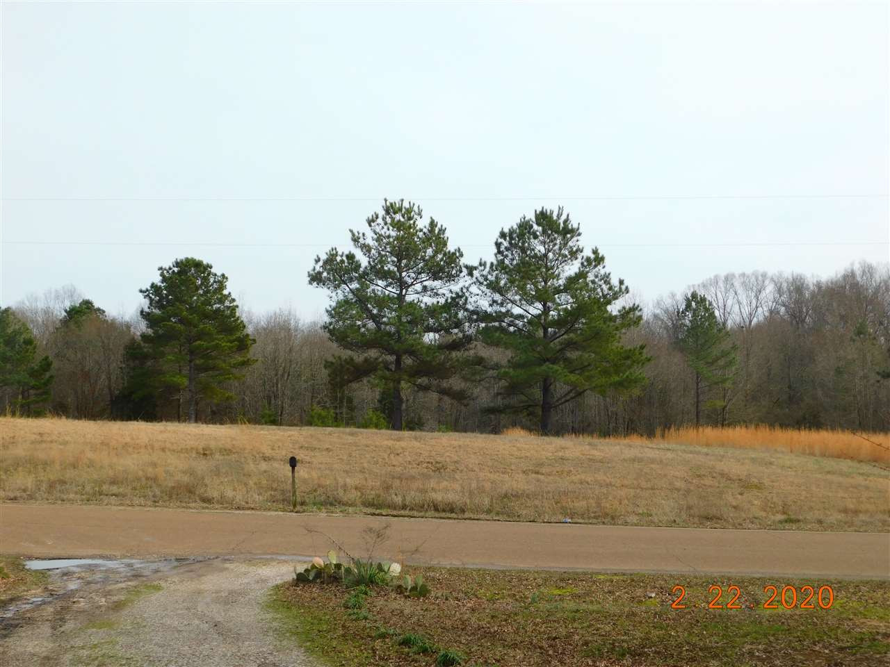 0 Uptonville Road Mercer, TN 38392 - Photo 1 of 1 a view of yard with large trees