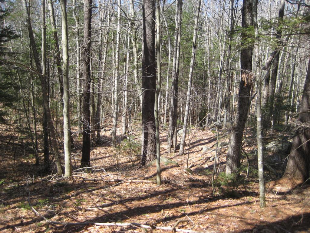 0 Stoddard Road Wolfeboro, NH 03894 - Photo 14 of 21 Gallery Image 14