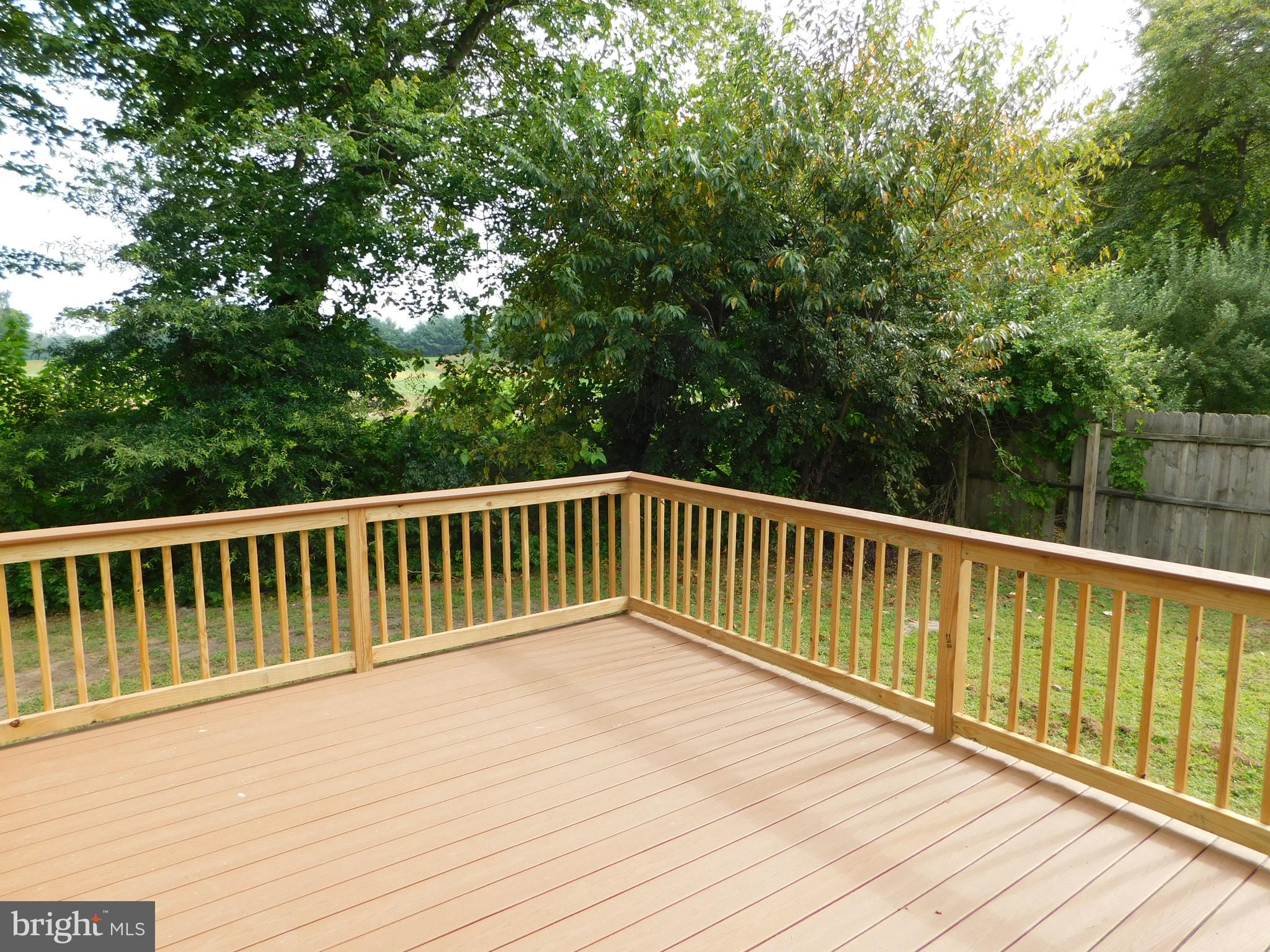 233 Hartly Road Hartly, DE 19953 - Photo 52 of 70 a balcony with wooden floor and trees