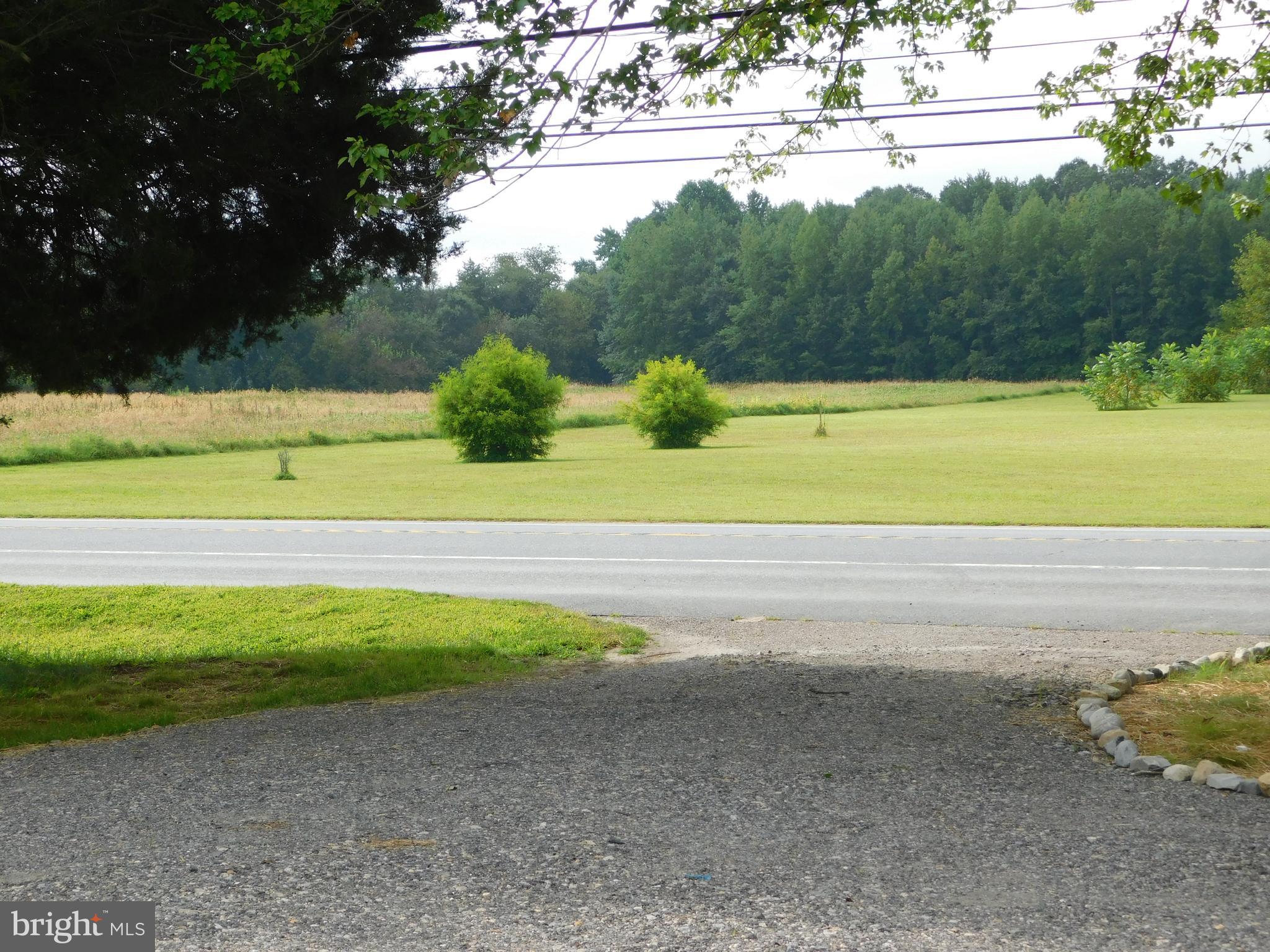 233 Hartly Road Hartly, DE 19953 - Photo 65 of 70 a view of a yard with a lake view