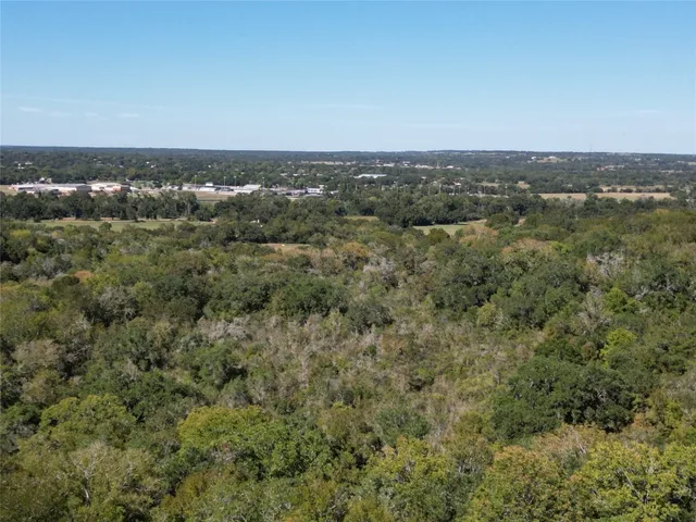 an aerial view of houses covered in trees