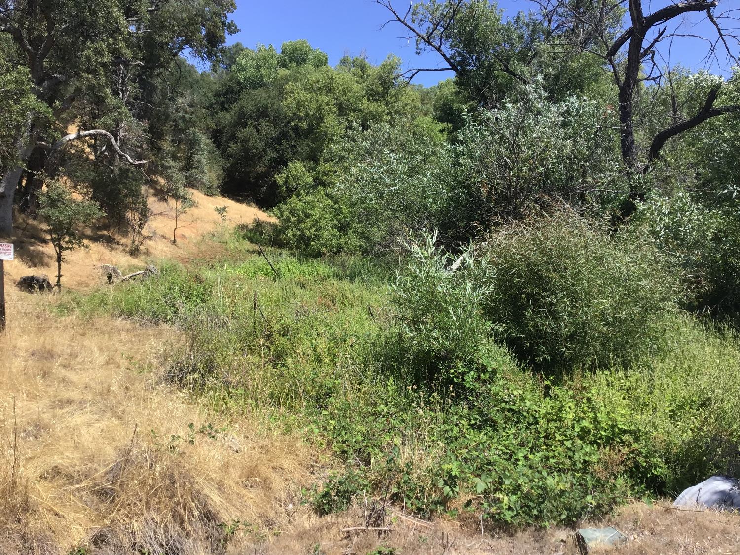 3071 Chestnut Way Angels Camp, CA 95222 - Photo 2 of 4 a view of a yard with a tree