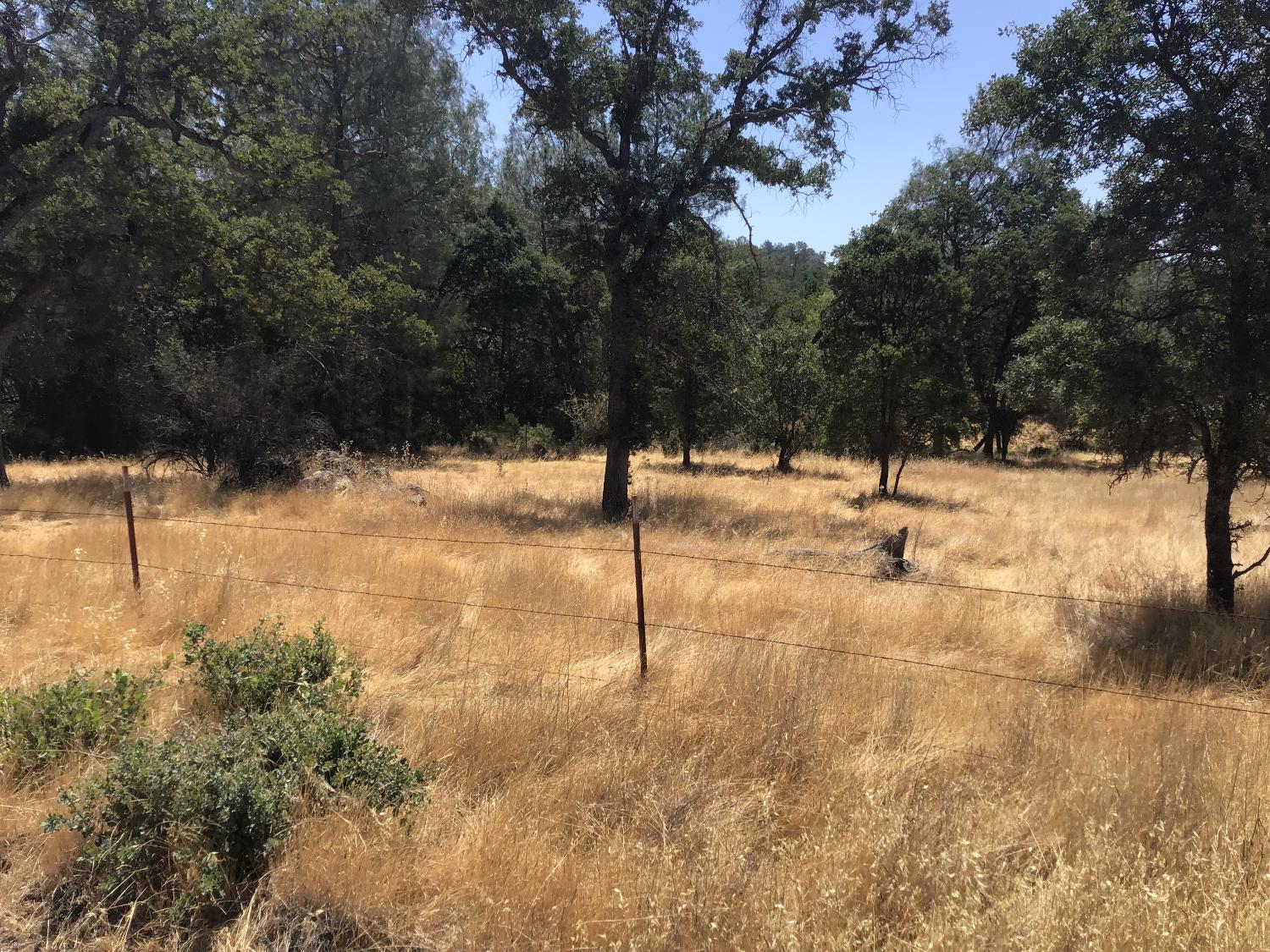 3071 Chestnut Way Angels Camp, CA 95222 - Photo 3 of 4 a view of empty space yard and mountain view