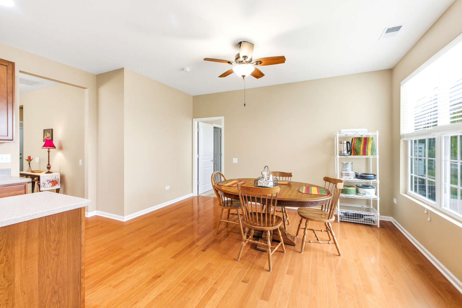 845 Butterfly Field Drive Elgin, IL 60124 - Photo 10 of 28