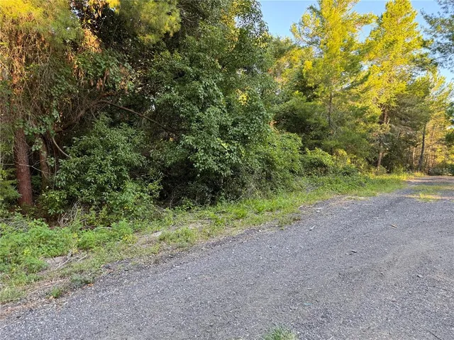 a view of a yard with a tree