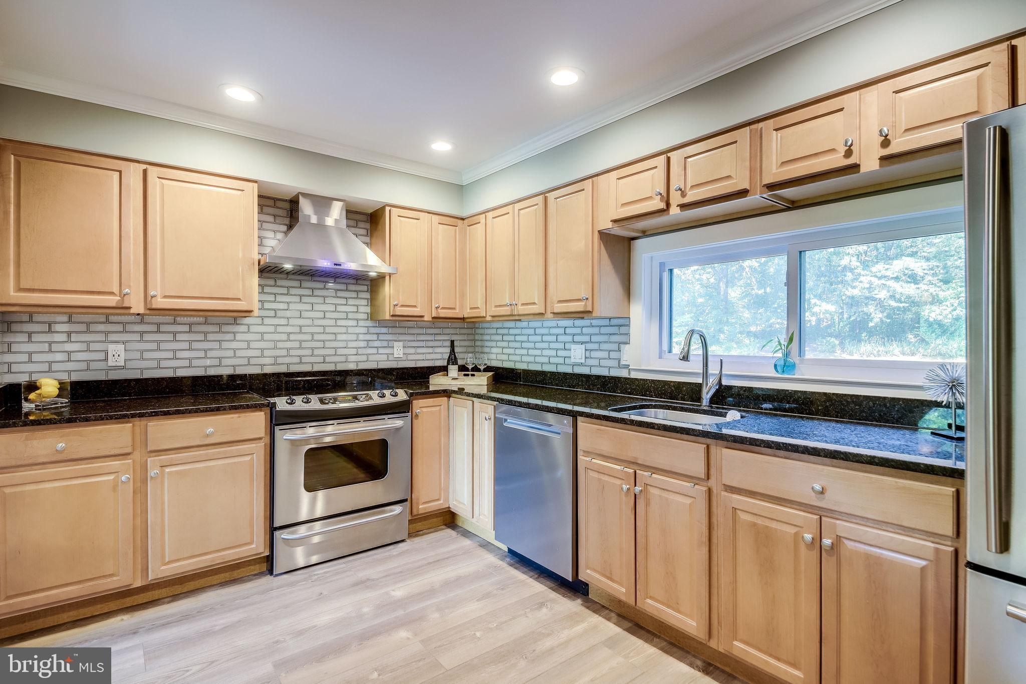 11629 Hunters Green Court Reston, VA 20191 - Photo 12 of 50 Gourmet Kitchen
