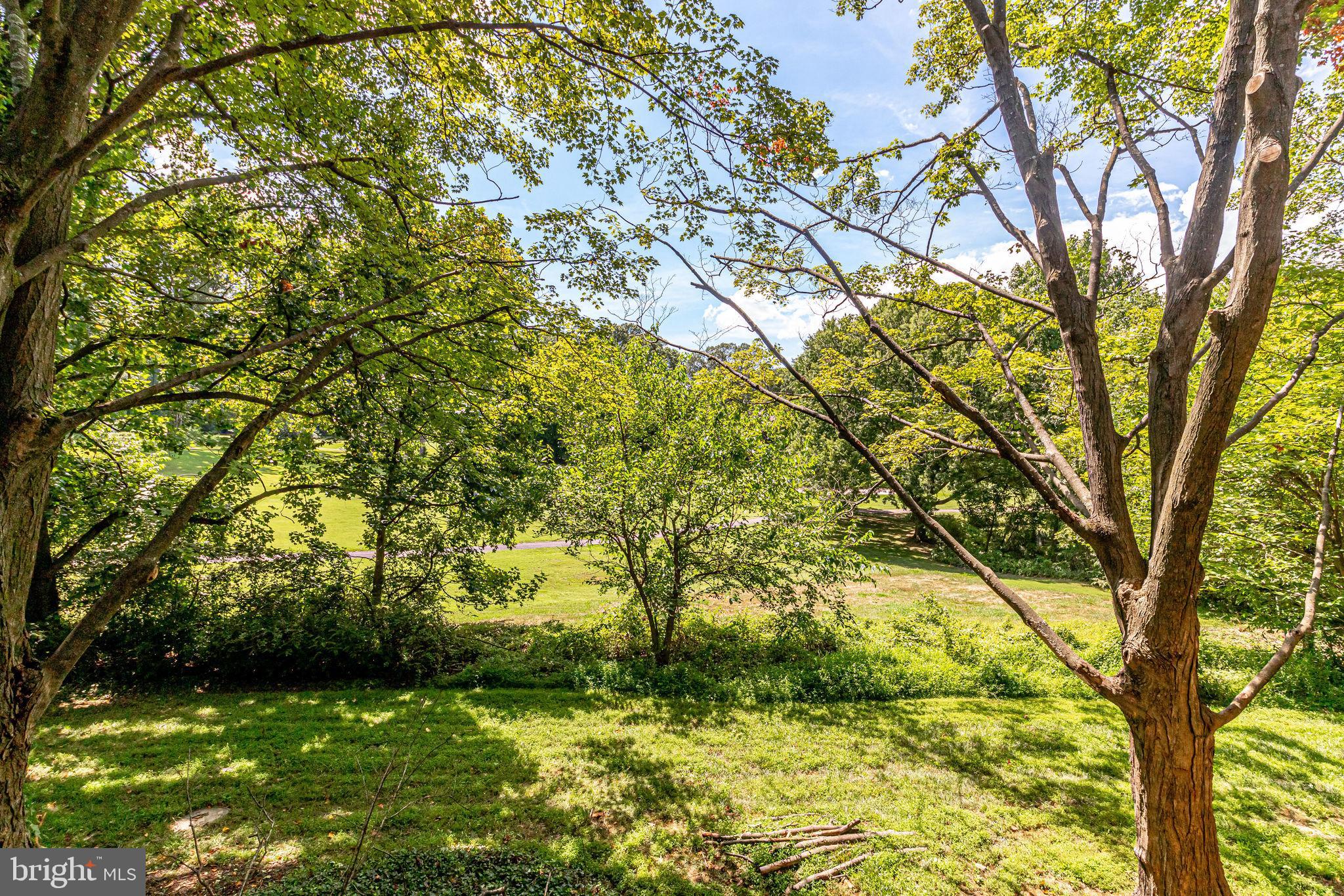 11629 Hunters Green Court Reston, VA 20191 - Photo 20 of 50 Reston National Golf Course view from deck