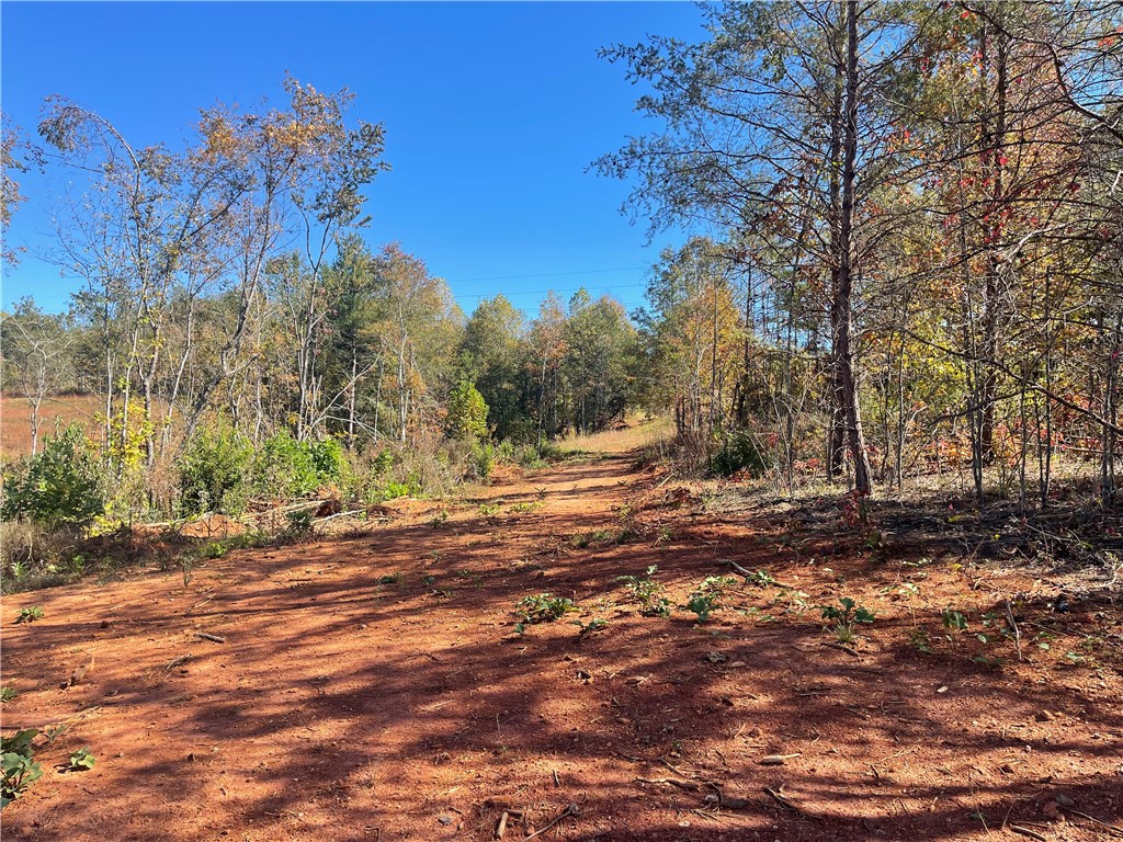 353 B Springbrook Road Walhalla, SC 29691 - Photo 11 of 28 Gallery Image 11