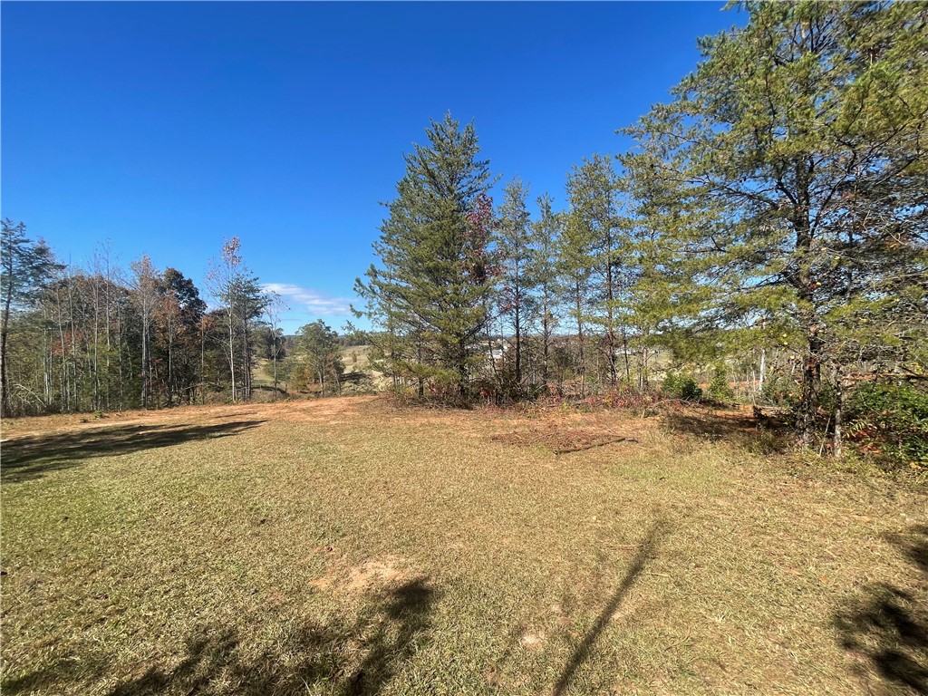 353 B Springbrook Road Walhalla, SC 29691 - Photo 20 of 28 Gallery Image 20