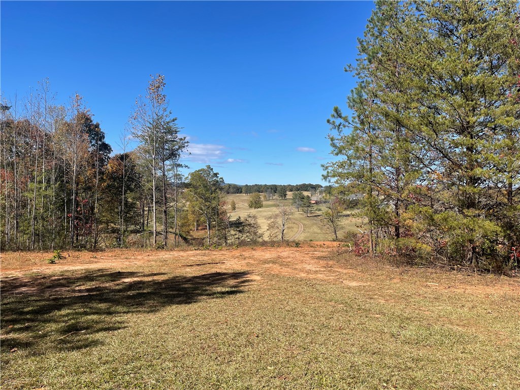 353 B Springbrook Road Walhalla, SC 29691 - Photo 3 of 28 Gallery Image 3