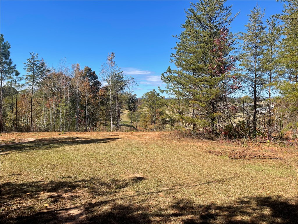 353 B Springbrook Road Walhalla, SC 29691 - Photo 4 of 28 Gallery Image 4