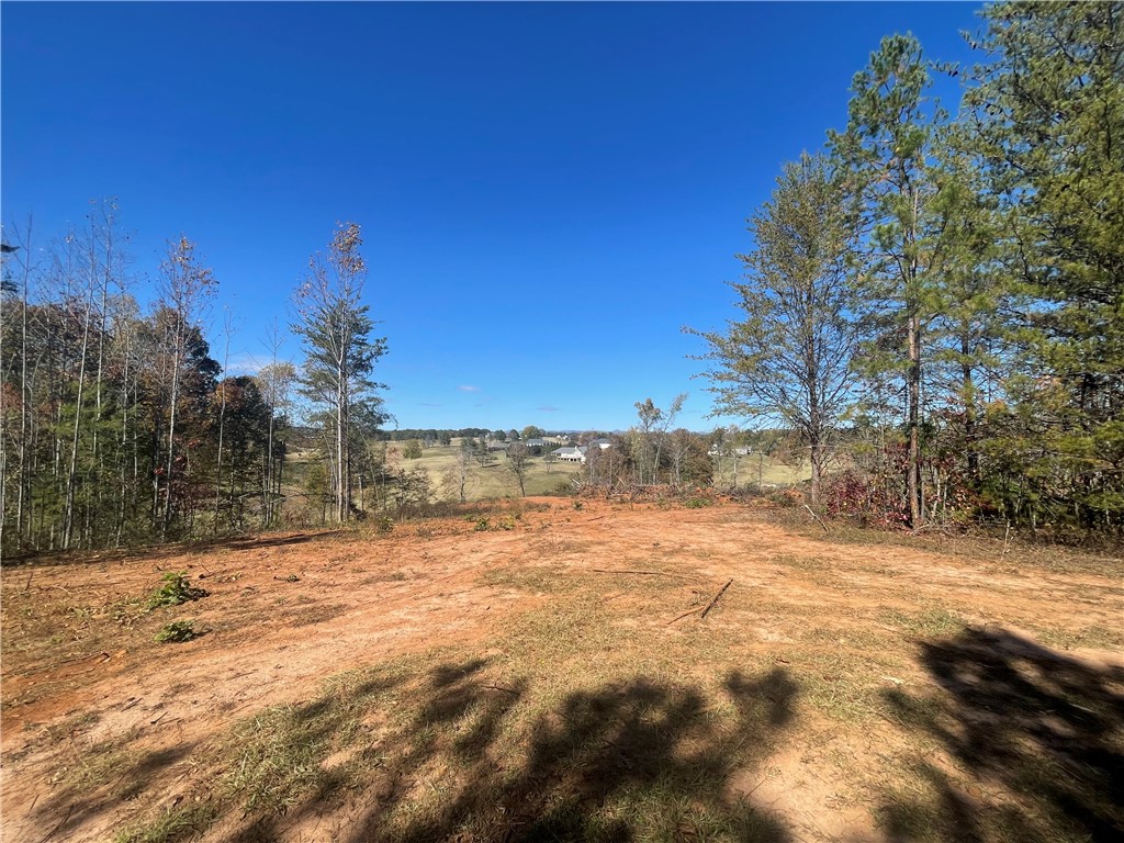353 B Springbrook Road Walhalla, SC 29691 - Photo 6 of 28 Gallery Image 6