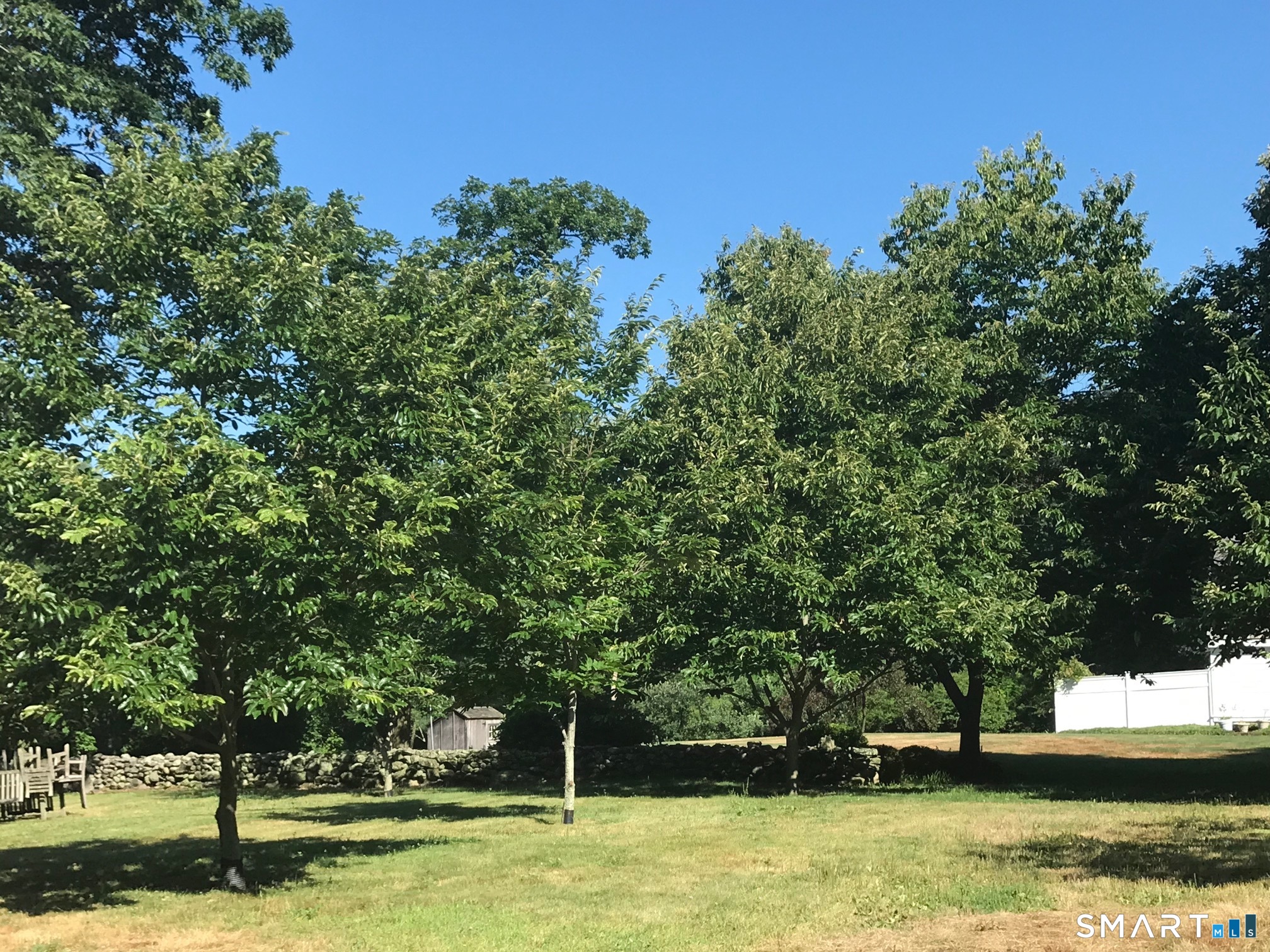 3509 Redding Road Fairfield, CT 06824 - Photo 3 of 27 a view of a swimming pool and trees in the background