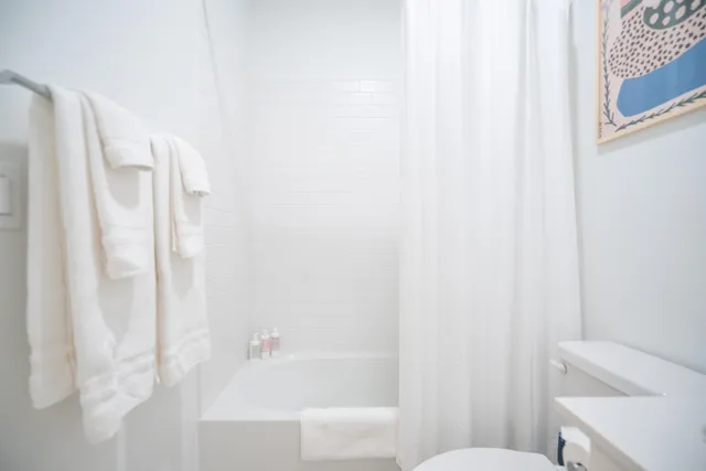 a bathroom with a toilet and a bathtub