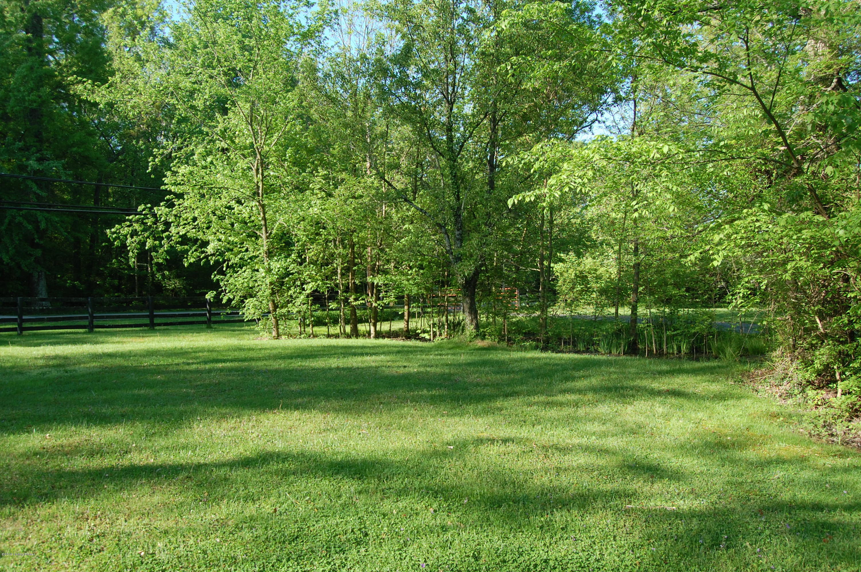 11703 Cedardale Road Anchorage, KY 40223 - Photo 88 of 91 Copy of DSC_0232