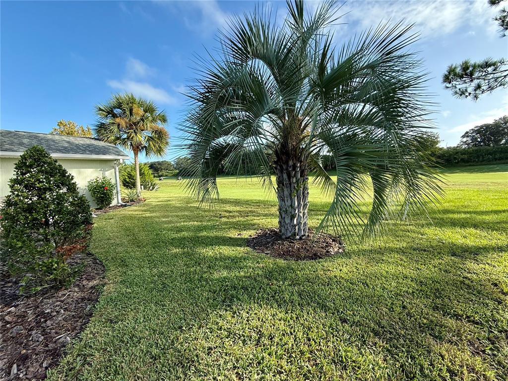 15235 Southwest 14th Avenue Road Ocala, FL 34473 - Photo 42 of 52