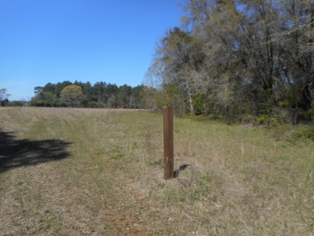 23597 North River Road Daphne, AL 36526 - Photo 1 of 5