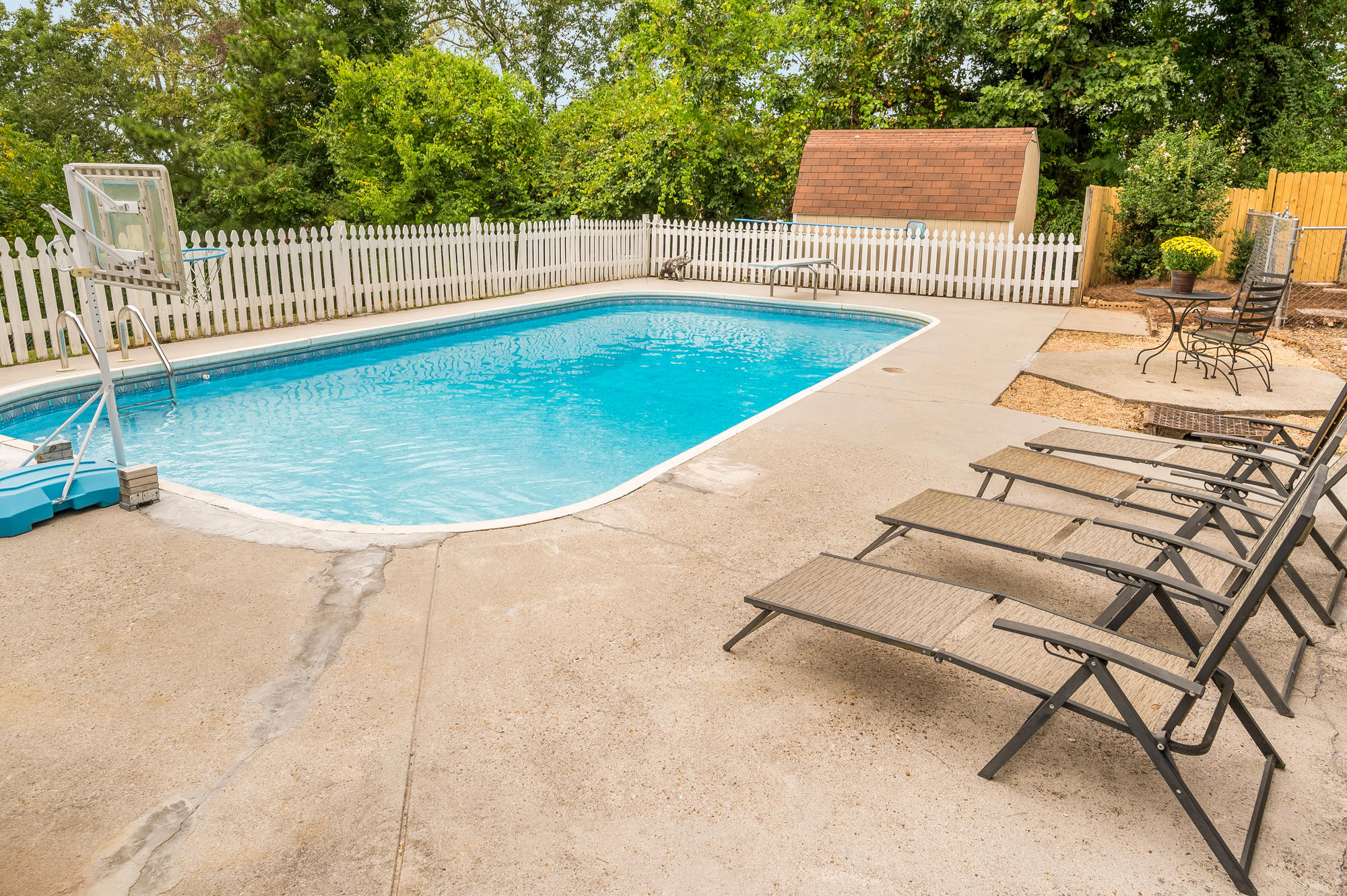 299 Ridgeside Drive Ringgold, GA 30736 - Photo 32 of 36 Gorgeous Inground Pool