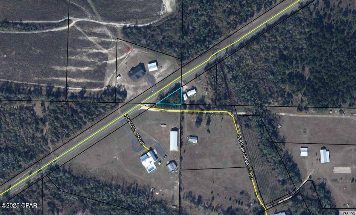 0 Cr 274 Altha Altha, FL 32421 - Photo 1 of 1