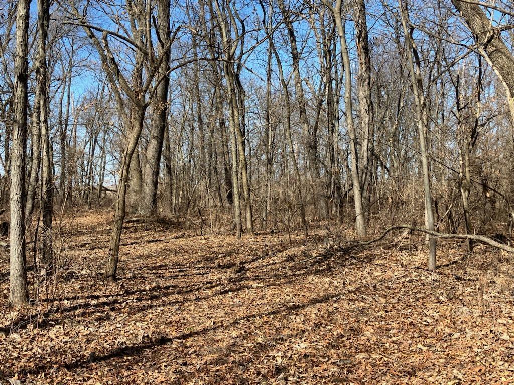 0 Carter Road Amboy, IL 61310 - Photo 20 of 31 a view of a yard with trees