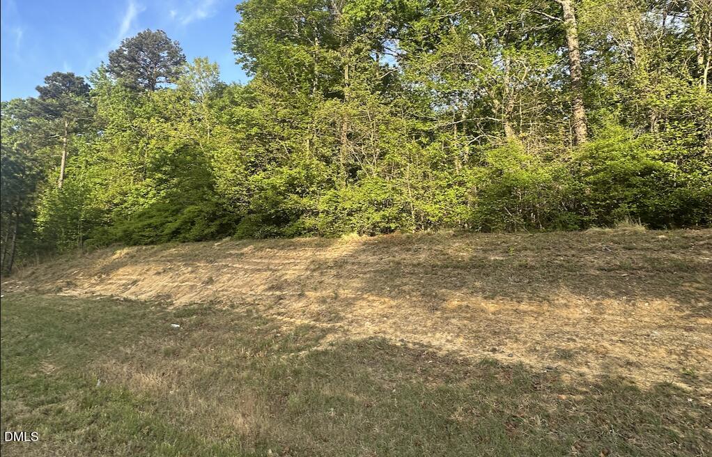 0 L L Cooper Road Cameron, NC 28326 - Photo 6 of 17 a view of a green field with lots of bushes