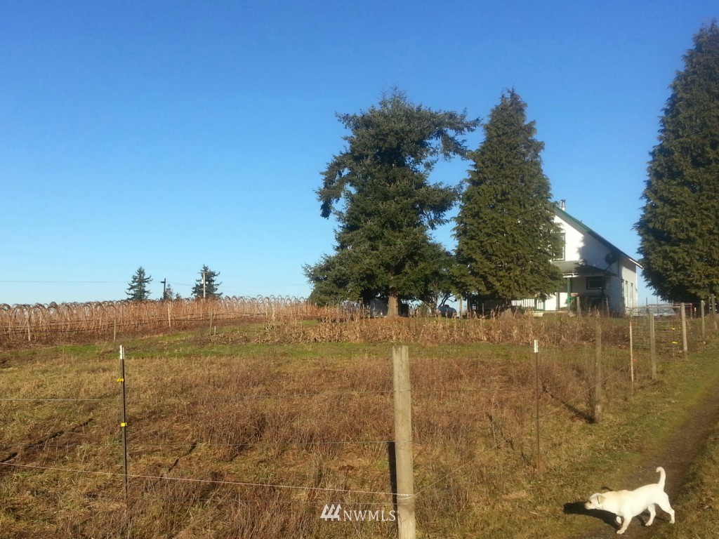 1716 East Pole Road Everson, WA 98247 - Photo 11 of 20 Gallery Image 11